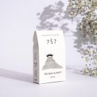 The King Alminty, natural soap with exfoliation and spicy notes - Thumbnail Image 6